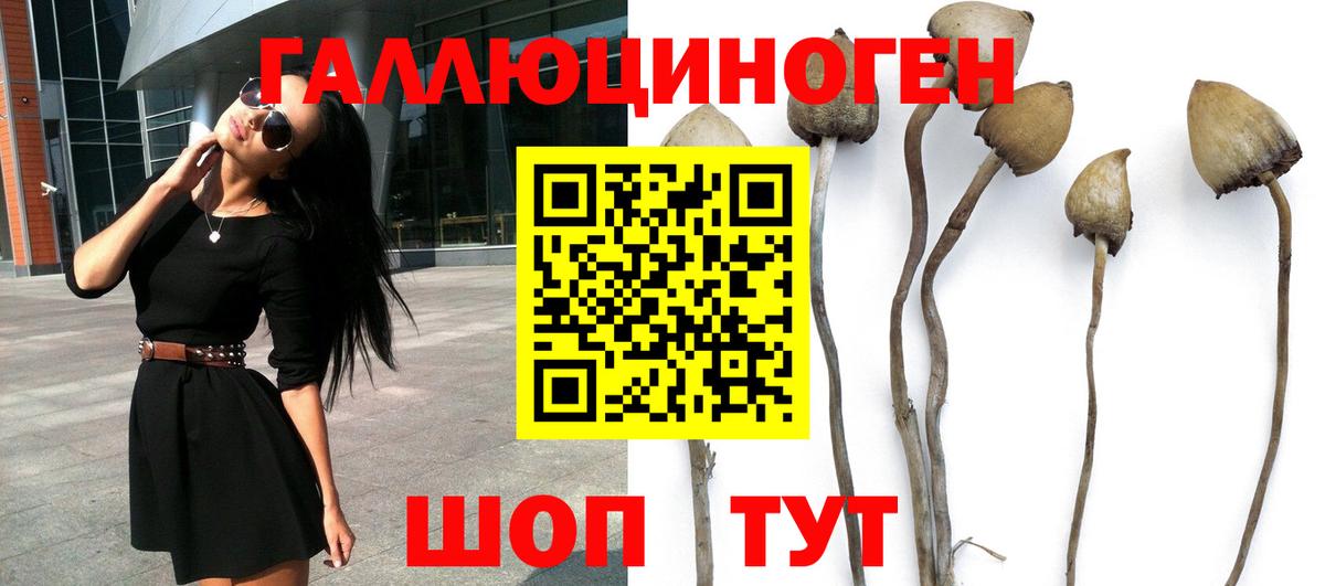 закладка  Галлюциногенные грибы Psilocybe  Вход с VPN  Донской 